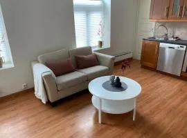 Central bus station apartment, wifi, tv
