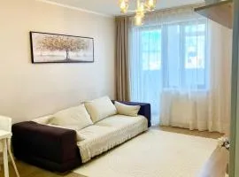 Entire place, City center, Downtown, 1Bedroom apartment, Serviced, with amenities