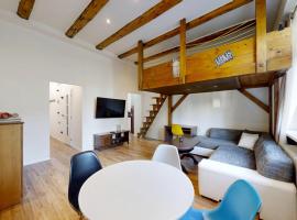 Old Town Loft，位于日利纳的宠物友好酒店