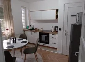 Apartman Leky