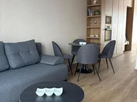 PA - Luxury city center apartment