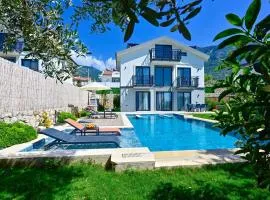 Karya Luxury - Holiday Villa with Private Pool for 6 People in Hisarönü