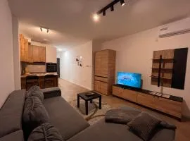 San Studio