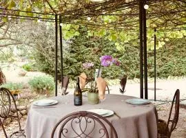 Le Cigalon - Maison climatisée avec piscine