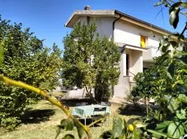 Da Jack Rooms, la tua casa vacanze!