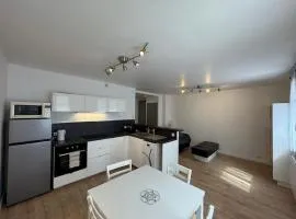 Charming 2 bedroom 60 m2 3-room apartment in Grenoble center