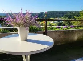 book-3days-get-1day-free! Balcony-Apartment in Schonach center