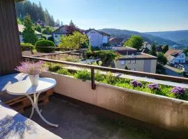 Balcony-Apartment in Schonach center