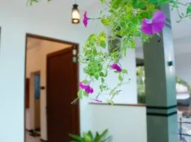 Paddy Aurora Villa