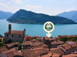 Vesto VISTA