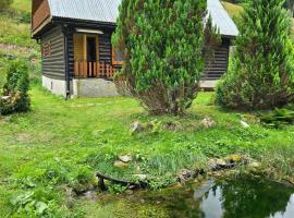 Chata pri jazierku - Cottage by the Little Lake, acomoda&ccedil;&atilde;o em Nižn&aacute; Boca