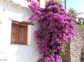 Casa Fortuna Alpujarra