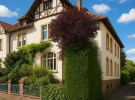 TOP für Monteure - Wohnung in historischer Villa in ruhiger Toplage