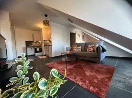 Télétravail pro - Calme, grand espace, plein centre