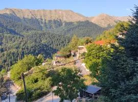 pasithea mountain rooms