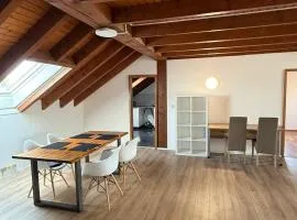 HEU1- Spacious-City Apartment with Terrace in Heusenstamm