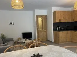 Bel appartement 3 pièces avec grande terrasse et garage à Pralognan-la-Vanoise - FR-1-464-251