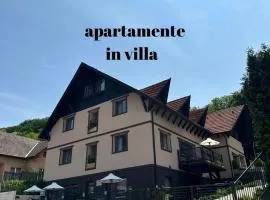 Silvan Villa - Apart