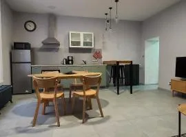 appartement plein centre ville