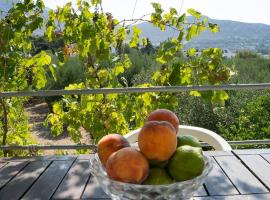 Panormos,Irene's studios、パノルモス・カリムノスのB&B