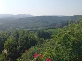 Podere Salceto, terrazza sul Chianti, khách sạn ở San Casciano in Val di Pesa