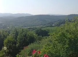 Podere Salceto, terrazza sul Chianti