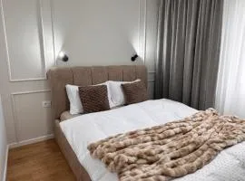 Olt view apartament