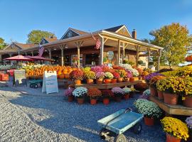 Bayfront & nature preserve!, hotel que aceita pets em Riverhead