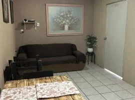 Spacious Apartment Great Location in Matamoros