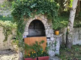 Elsas Residence