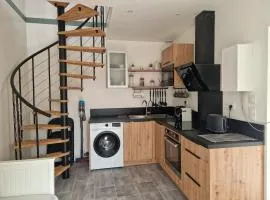 Appartement duplex hypercentre