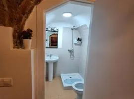 Habitación con baño privado