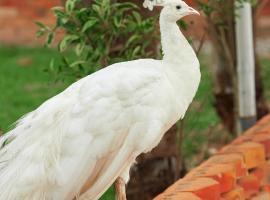 The Haven Boutique Hotel & Venue, готель у місті Кумасі