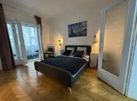 Airy & Beautiful Downtown Apartment