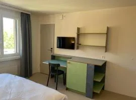 CoLiving Steinmaur
