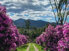 Recanto do Divino