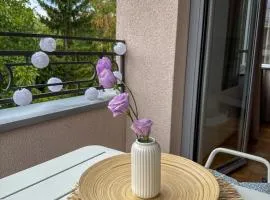 Apartman 7