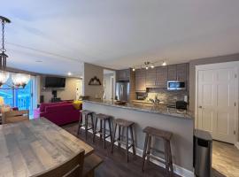 Smuggler Mine - Modern Pet Friendly Retreat Near Slopes, hotell sihtkohas Telluride