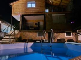 Vila Nemir Zavojsko jezero, hotel din Pirot