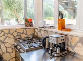 Natur Olive House Ston