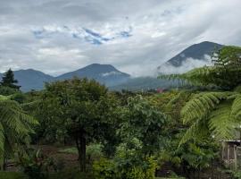 Villa San Carlos, guest house in Juayúa