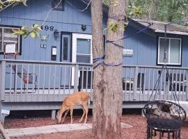 Fun Home in Pocono with Gameroom-Firpit-BBQ Grill-TV and AC in all rooms