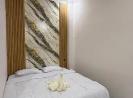 Homely Guest House