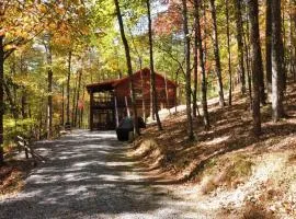 Triple Nickel Cabin