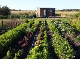 Revillaging Project by Tiny Away