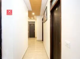 Collection O Gold Star