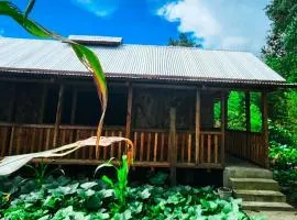 Dorm and Rooms for Ziro Music Festival