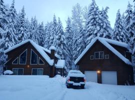 Cozy Studio Apartment, Hotel in Greenwater