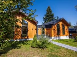 Phoenix Medical Resort, hotel with hot tubs in Skhidnitsa