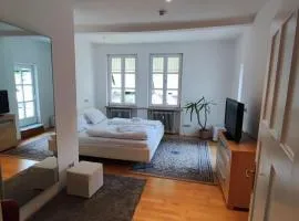 Altbau-Traum mit Riesen-Dachterrasse